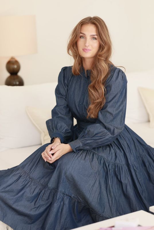 Ambrosia Soft Denim Dress 