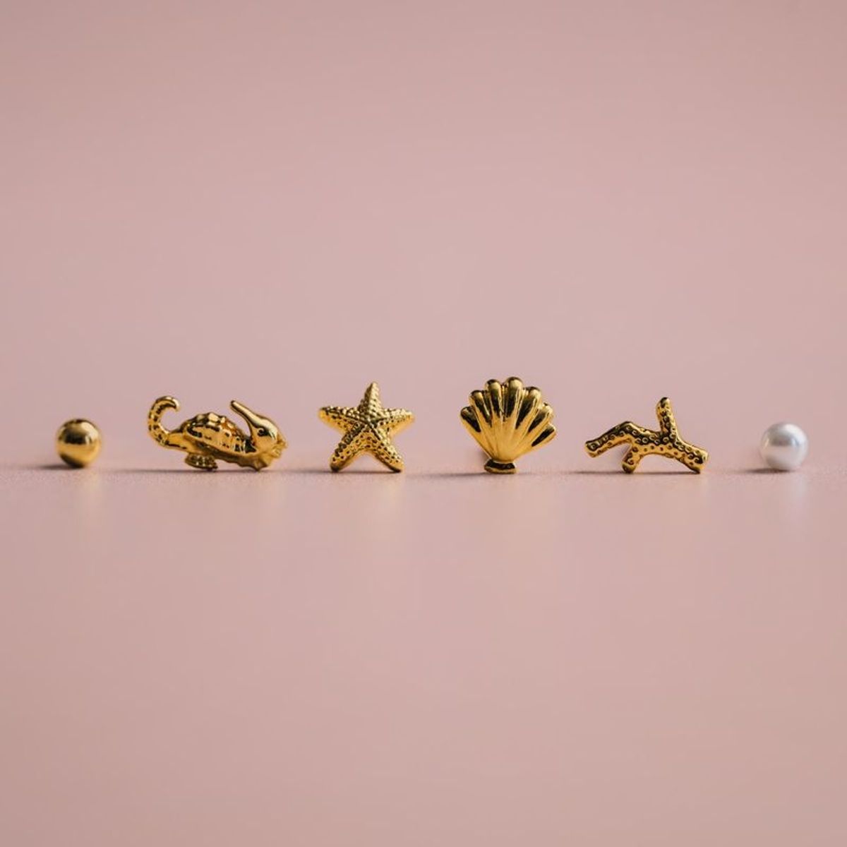 40282 Mixed Seaside Stud Pack
