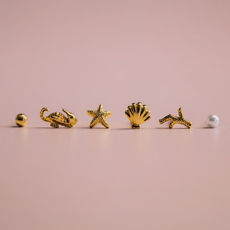 40282 Mixed Seaside Stud Pack